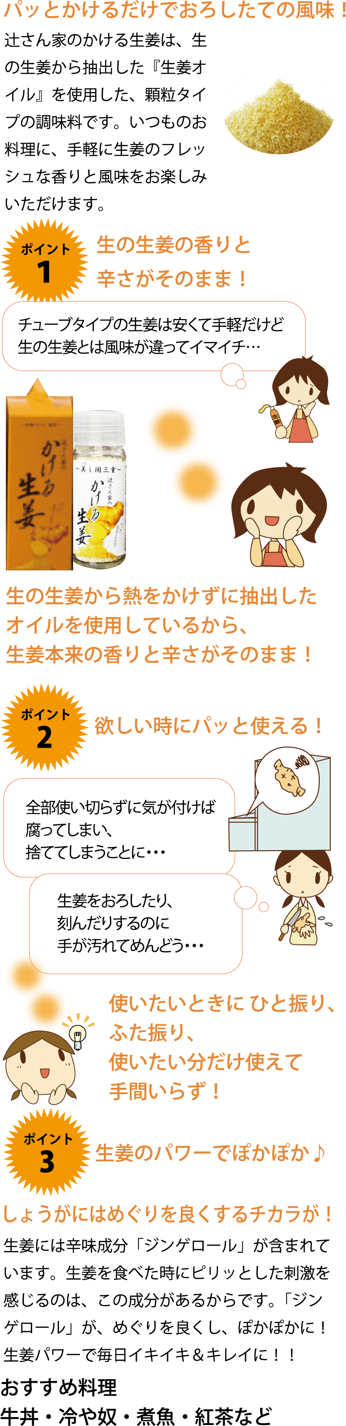 かける生姜の説明