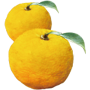 ゆず
